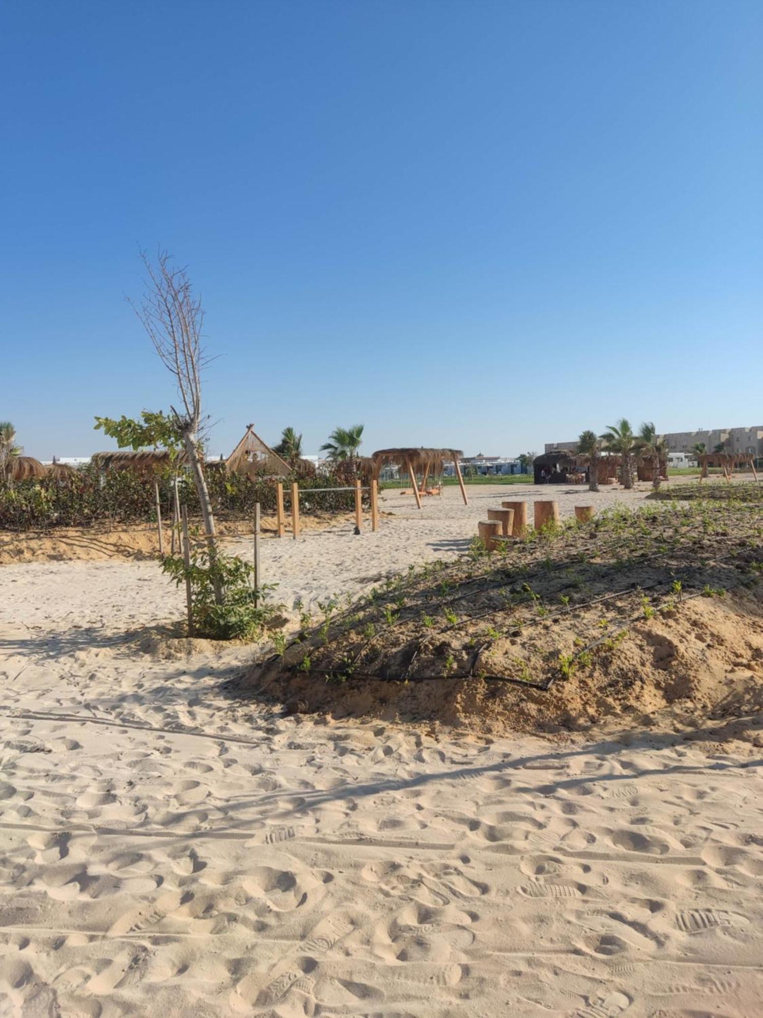 D-Bay North Coast Hotel Zawiyat 'abd al Mun'im Buitenkant foto