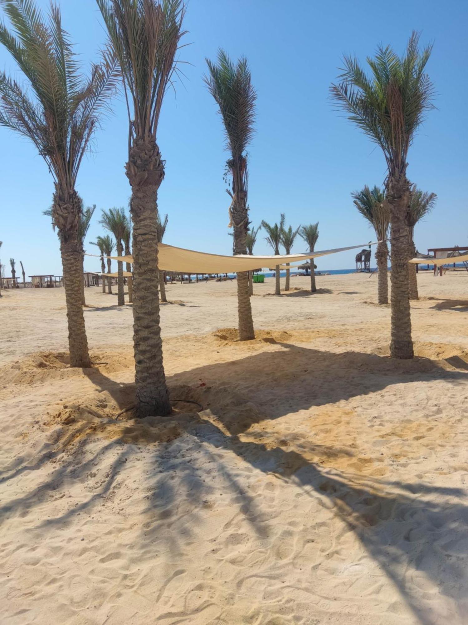 D-Bay North Coast Hotel Zawiyat 'abd al Mun'im Buitenkant foto